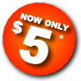 $49.00 Enroll Now
